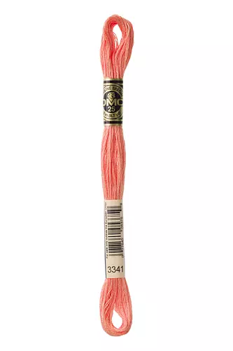 DMC Stickgarn Mouline Special-Strange col. 3341